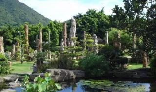 仙湖植物园旅游攻略